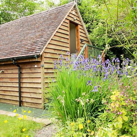 Milford Tree Tops Craven Arms Exterior foto