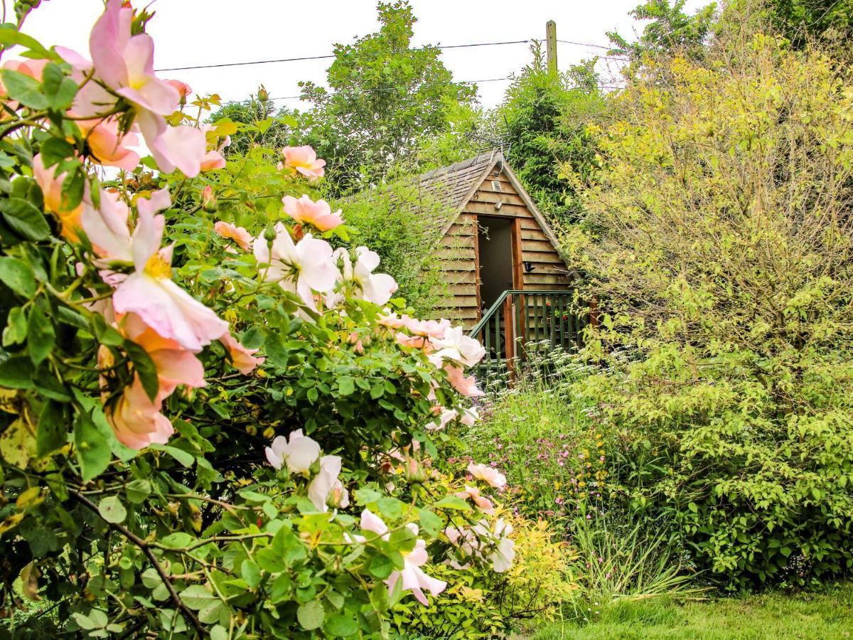 Milford Tree Tops Craven Arms Exterior foto